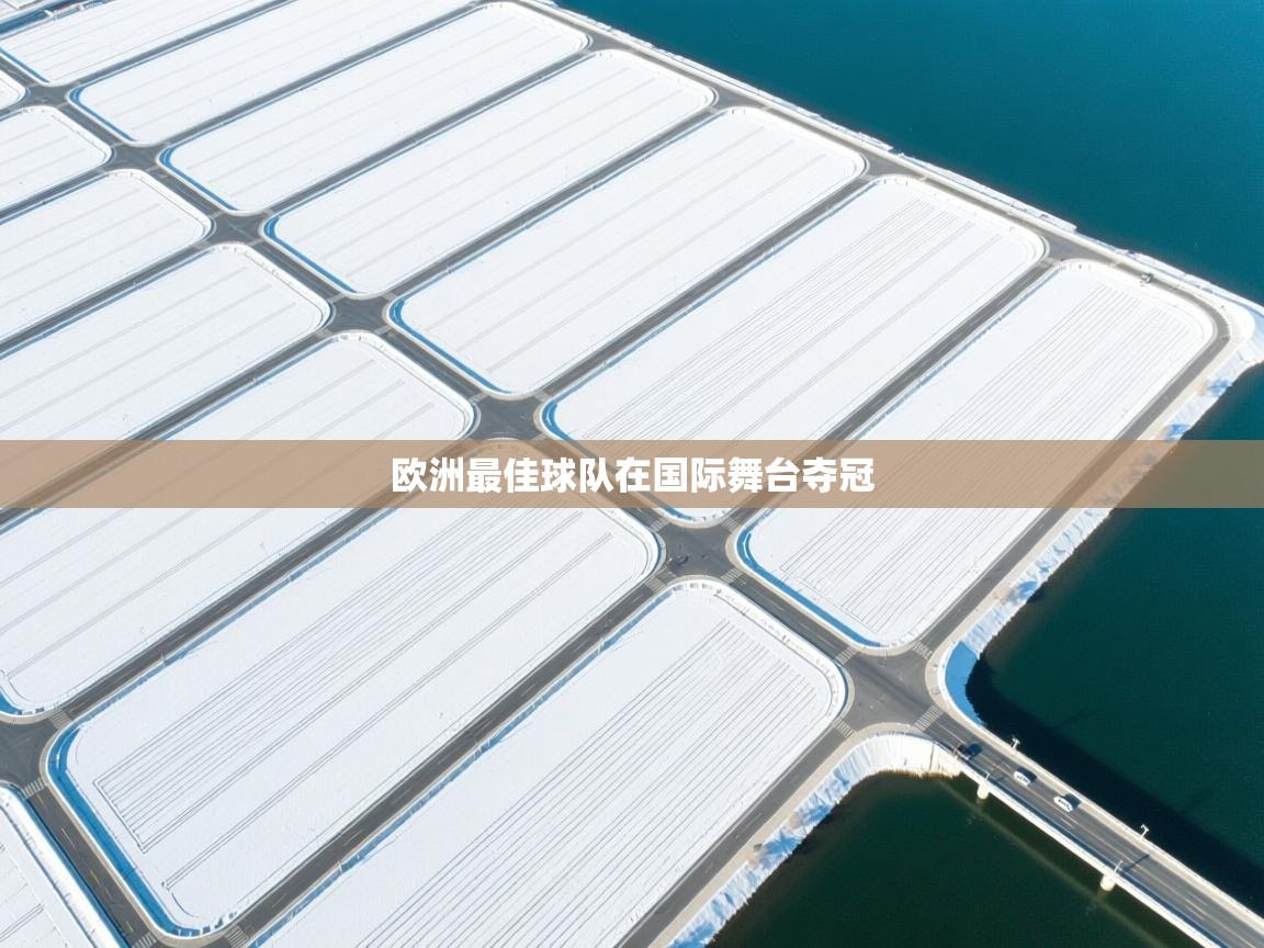 欧洲最佳球队在国际舞台夺冠  第2张