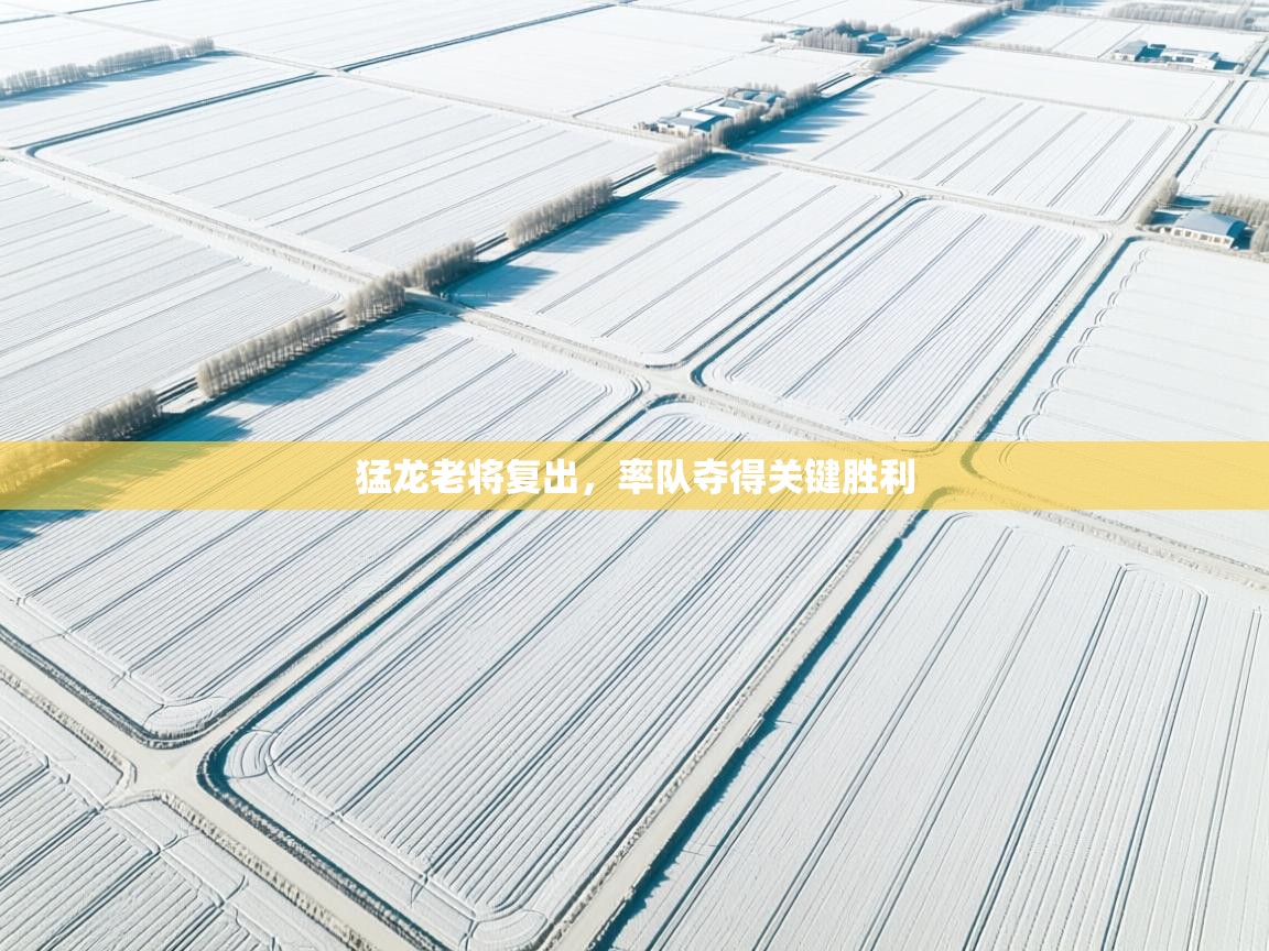 猛龙老将复出，率队夺得关键胜利  第2张